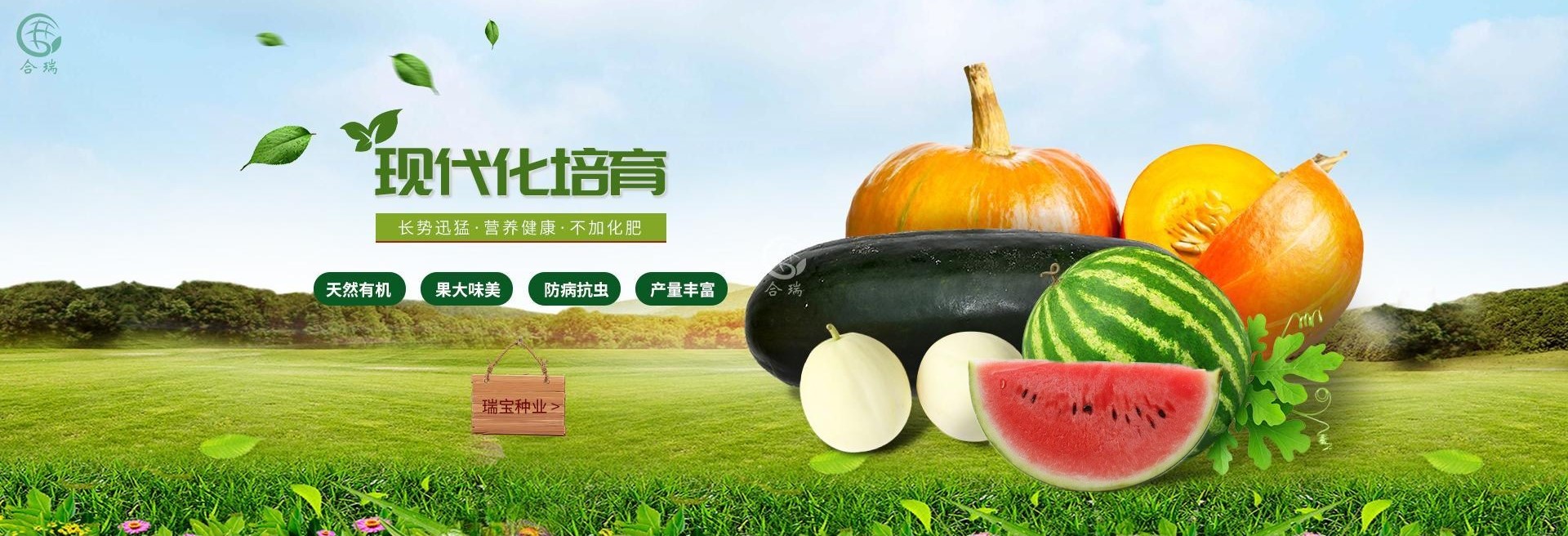合肥瑞寶種業(yè)